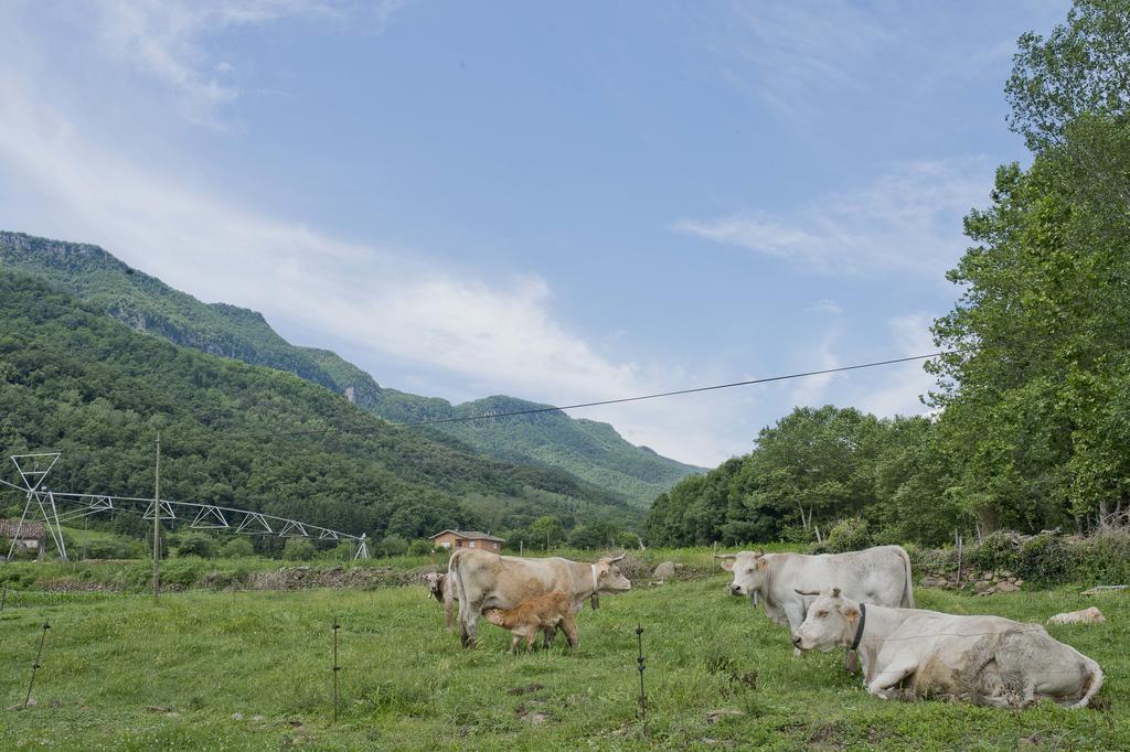 Mas El Ferres Vendégház Joanetes Kültér fotó