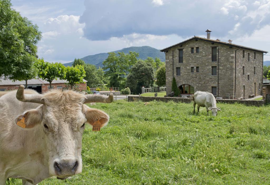 Mas El Ferres Vendégház Joanetes Kültér fotó
